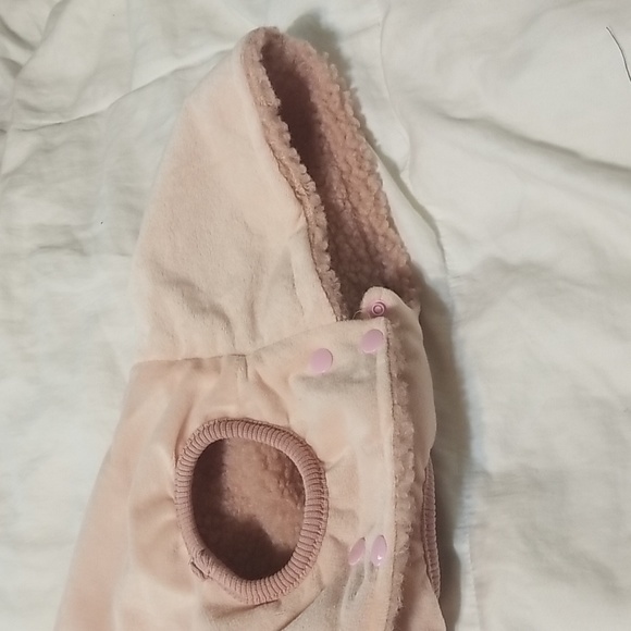 Dog - Picture 5 of 13